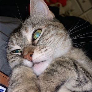 Meet your Posher, Heather